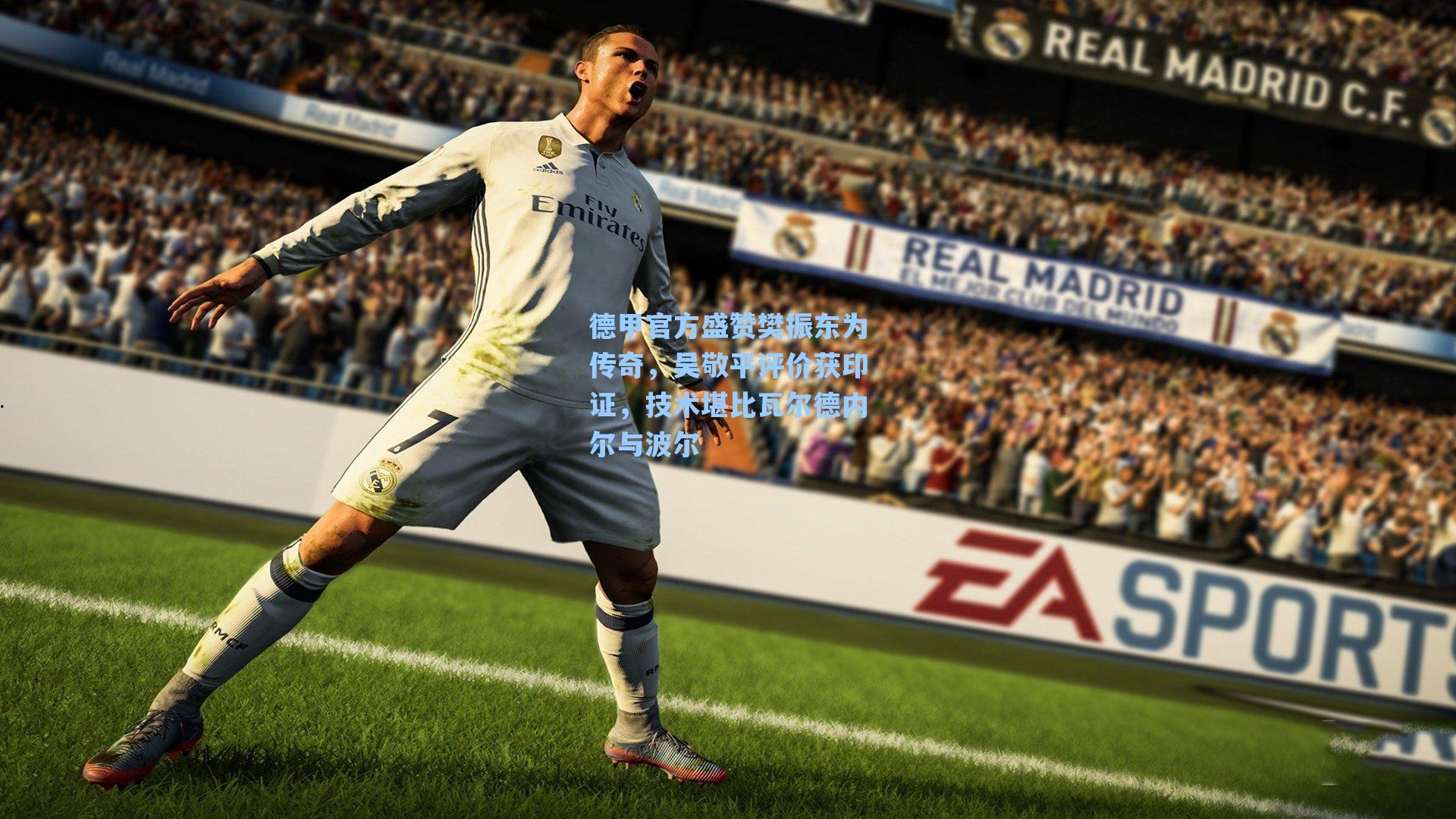 德甲官方盛赞樊振东为传奇，吴敬平评价获印证，技术堪比瓦尔德内尔与波尔