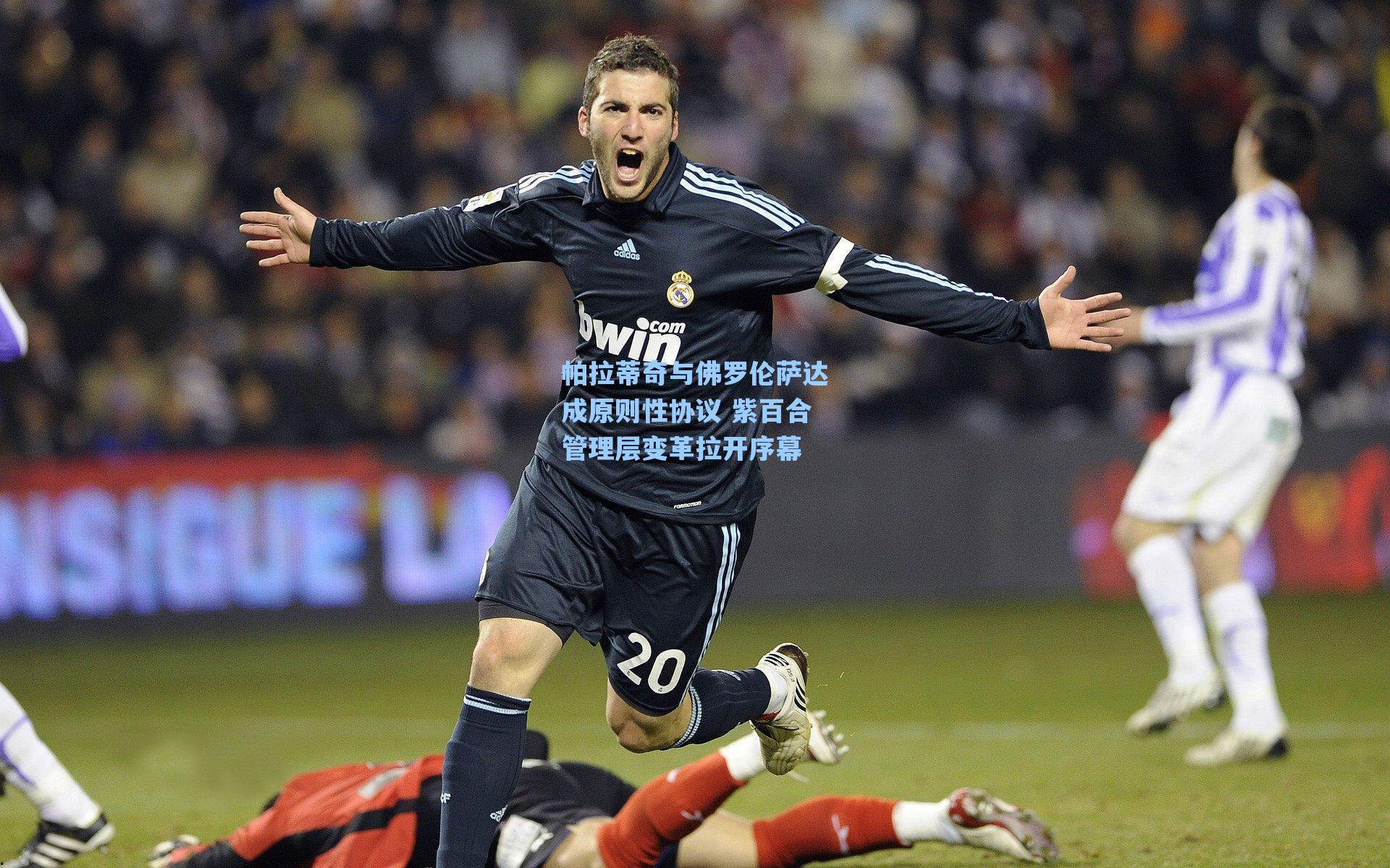 海星体育官网-帕拉蒂奇与佛罗伦萨达成原则性协议 紫百合管理层变革拉开序幕